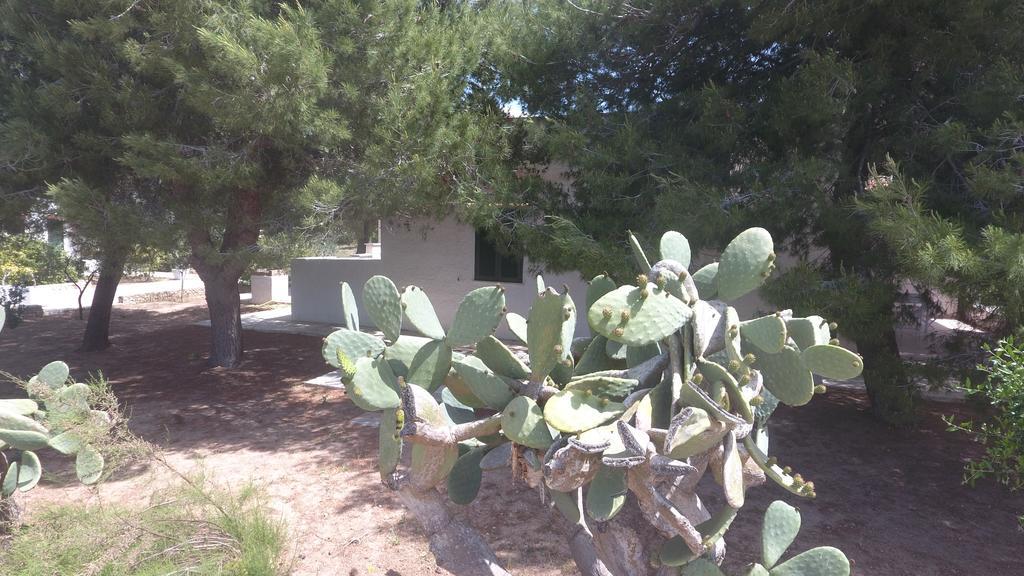 Appartamenti In Villa Senia Favignana Buitenkant foto