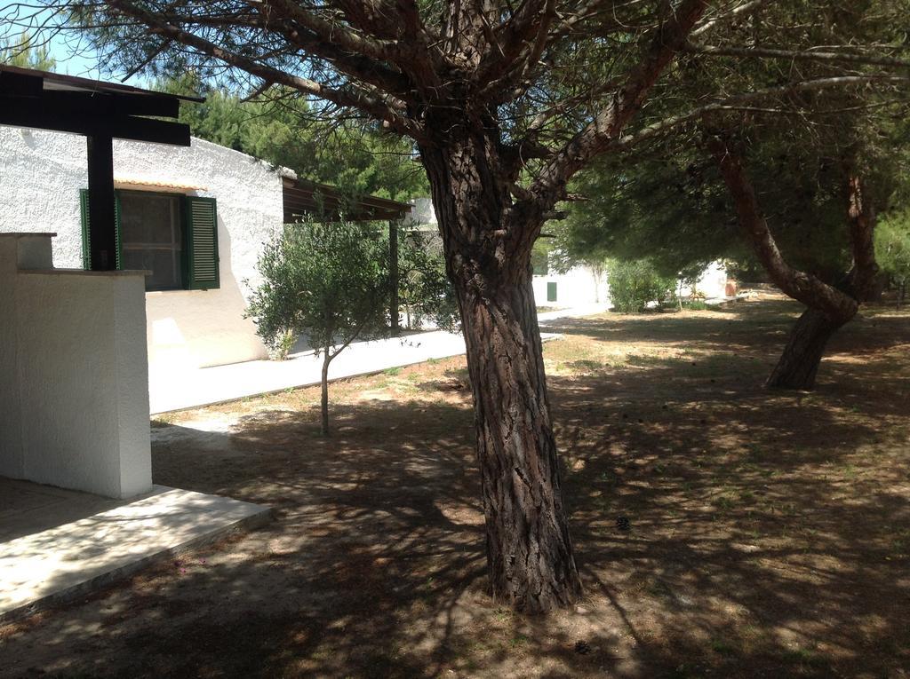 Appartamenti In Villa Senia Favignana Buitenkant foto