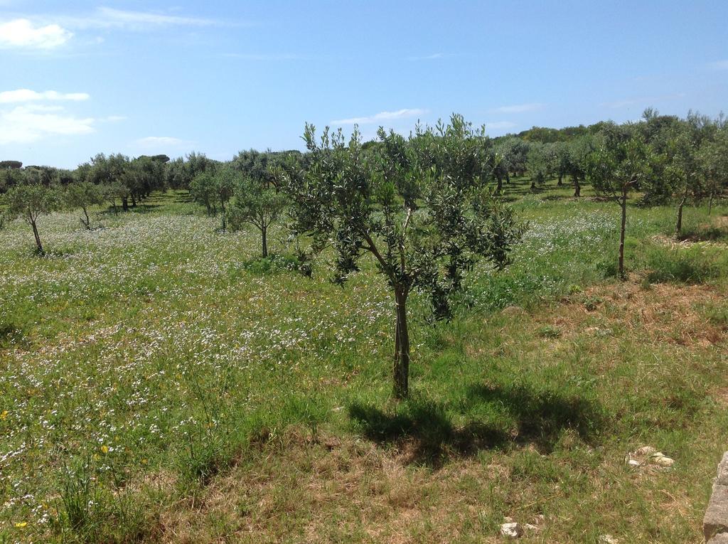 Appartamenti In Villa Senia Favignana Buitenkant foto